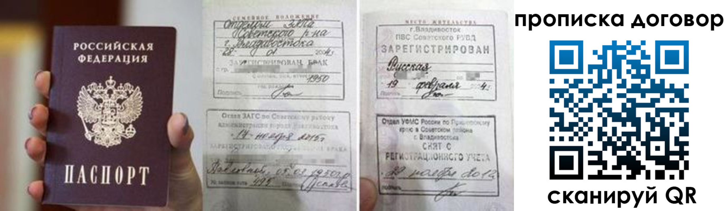 прописка штамп в Александровске